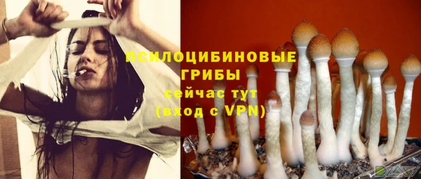ешки Навашино