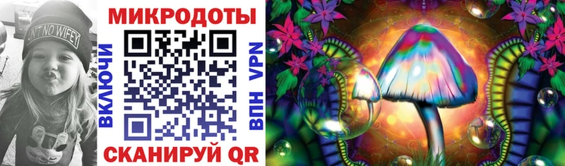 Псилоцибиновые грибы Psilocybine cubensis  ОМГ ОМГ ТОР  Орёл 
